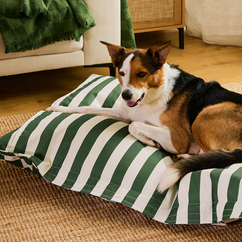 Pet Floor Cushion - Large - Checkerboard Stripe Sage Green